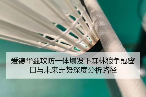 爱德华兹攻防一体爆发下森林狼争冠窗口与未来走势深度分析路径 - kaiyun