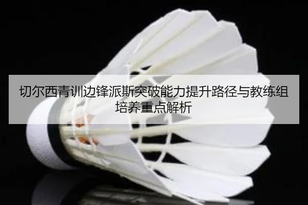 切尔西青训边锋派斯突破能力提升路径与教练组培养重点解析 - kaiyun